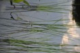 /album/fotogalerie/dsc-0391-jpg/